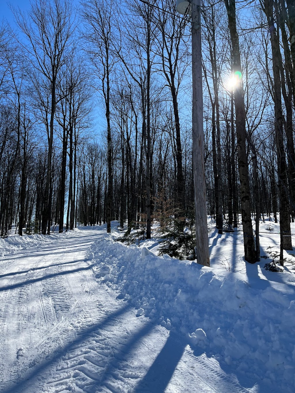 Ferme & Érablière deux vingt-deux inc | 1529 QC-222, Maricourt, QC J0E 2L2, Canada | Phone: (450) 888-1793