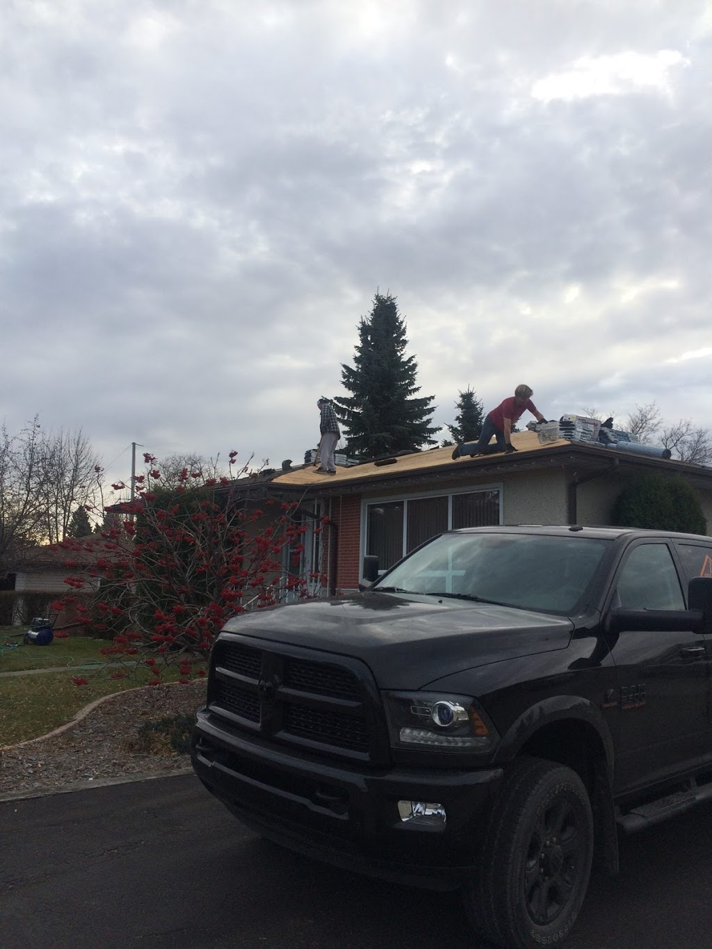 Sky High Contracting | RR 1, Thorsby, AB T0C 2P0, Canada | Phone: (780) 243-3401