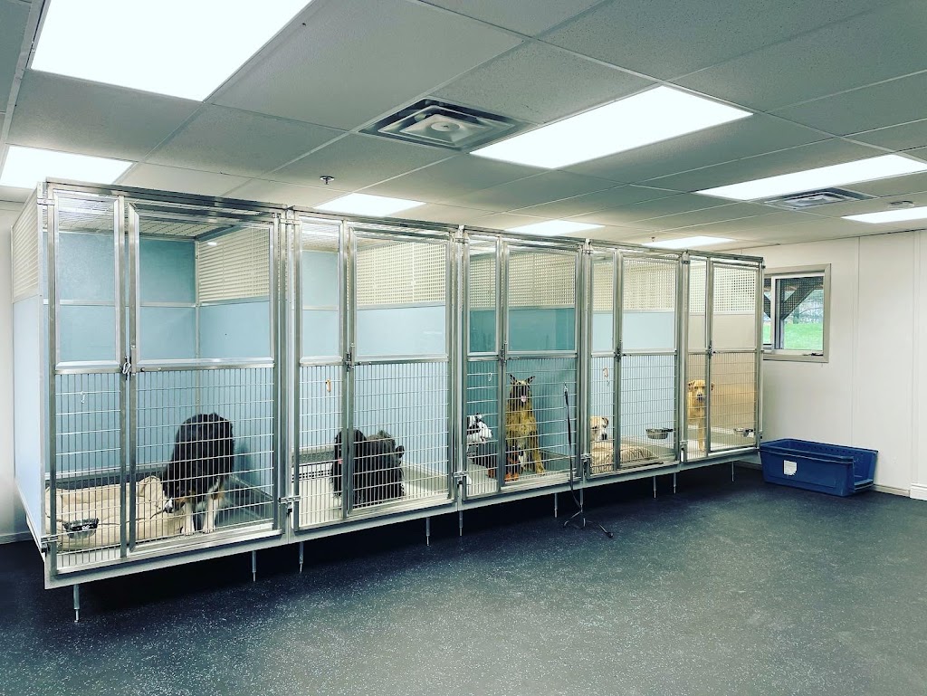 K9 Connections Inc. | 1339 10th Side Rd, Tottenham, ON L0G 1W0, Canada | Phone: (905) 716-1057