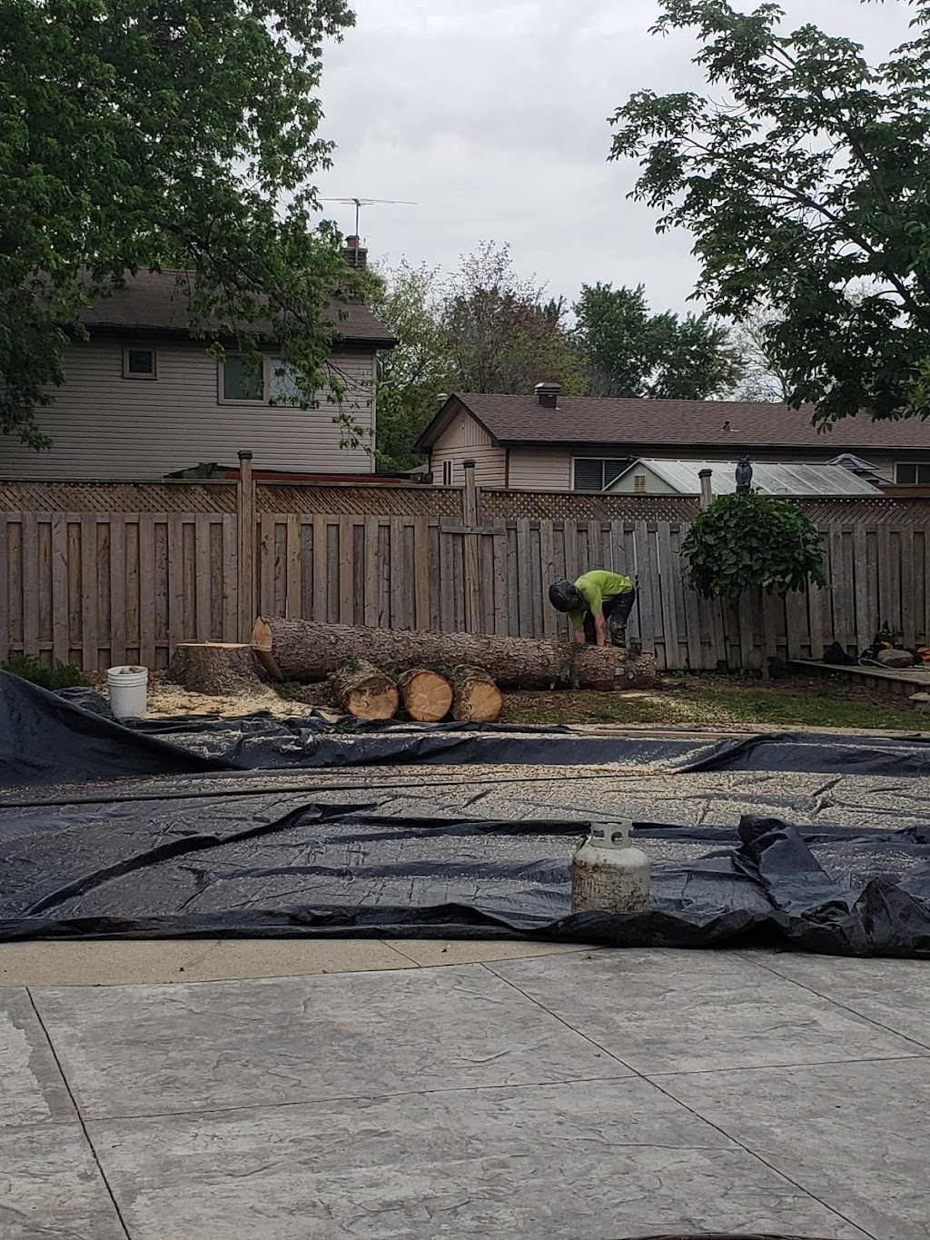 From The Ground Up Tree Services inc | 65 Maple Ave, Inglewood, ON L7C 1J5, Canada | Phone: (519) 217-1706