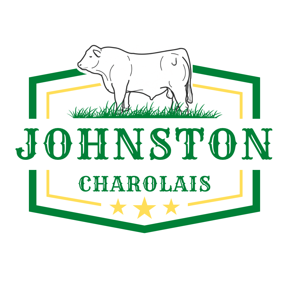 Johnston Charolais | NE 33 8 9 WPM, Rathwell, MB R0G 2V0, Canada | Phone: (204) 723-5030