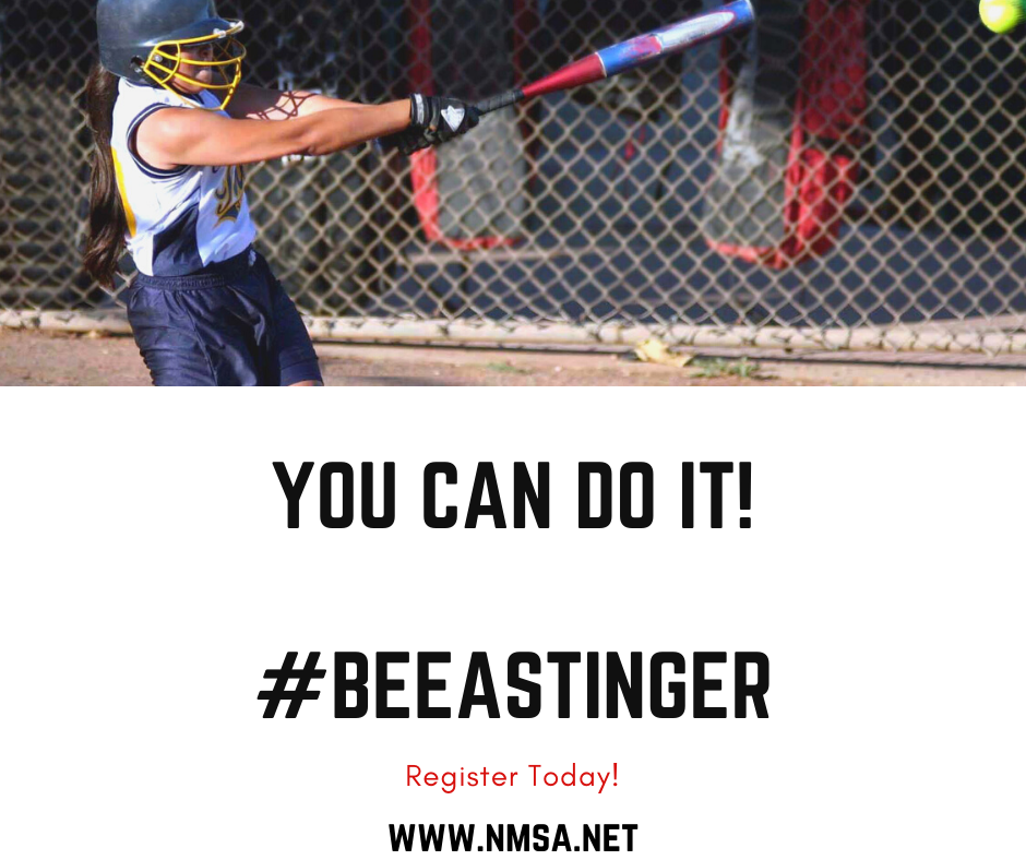 Newmarket Minor Softball Association - Home of the Stingers | 100 Eagle St W, Newmarket, ON L3Y 1J4, Canada | Phone: (289) 221-5211