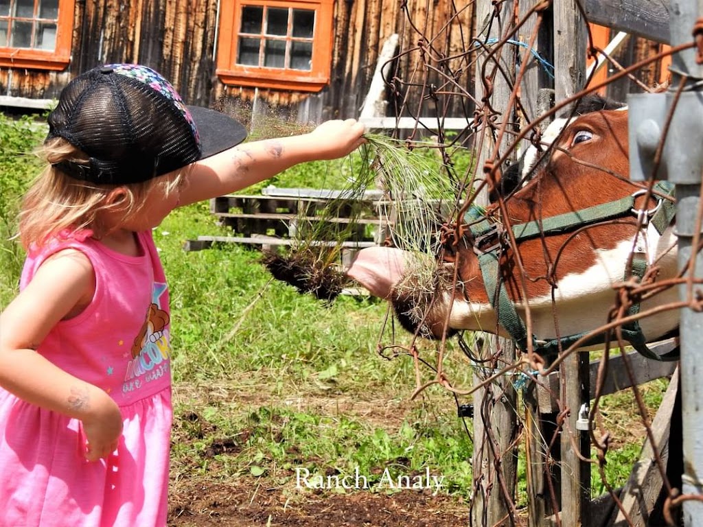 Ranch Analy | 14 rang 5 Est, Saint-François-Xavier-de-Viger, QC G0L 3C0, Canada | Phone: (418) 860-8854