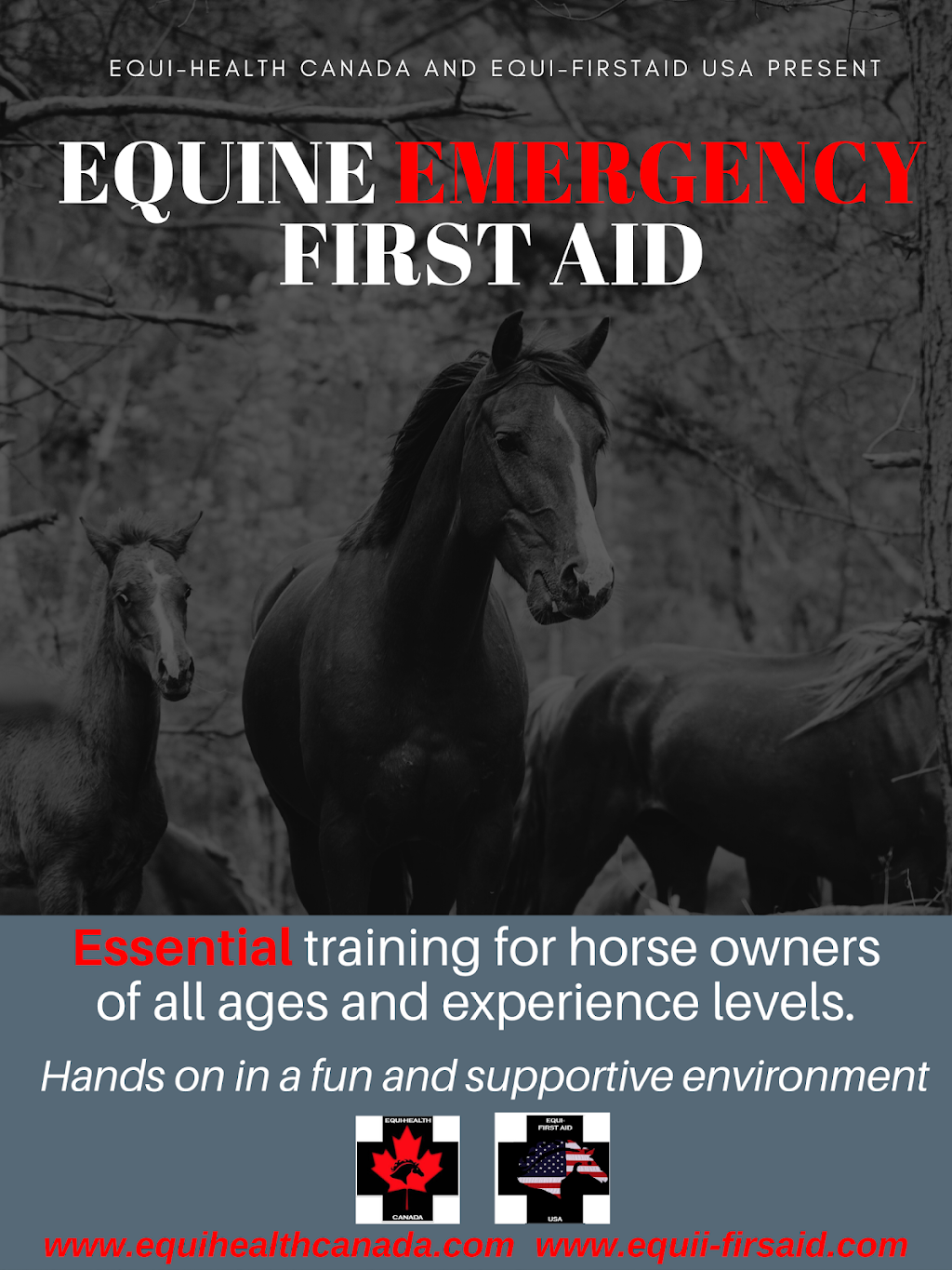 Heather Pankhurst Equine First Aid | Central St, Pickering, ON L1Y 1B5, Canada | Phone: (289) 992-9255