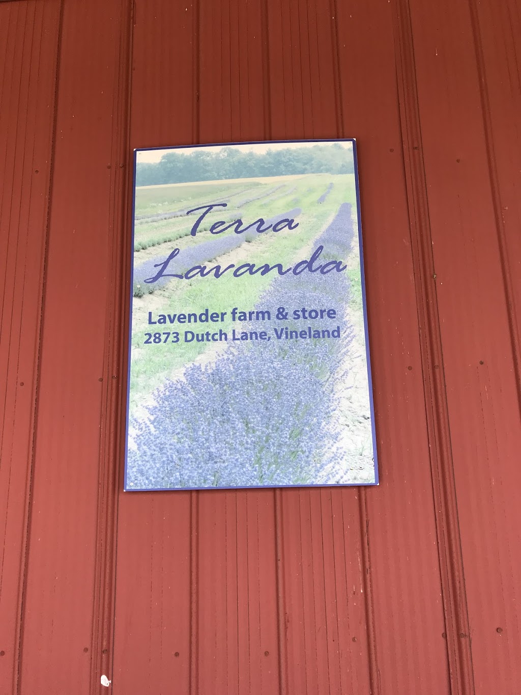 Terra Lavanda | 2873 Dutch Ln, Vineland, ON L0R 2C0, Canada | Phone: (905) 464-4304