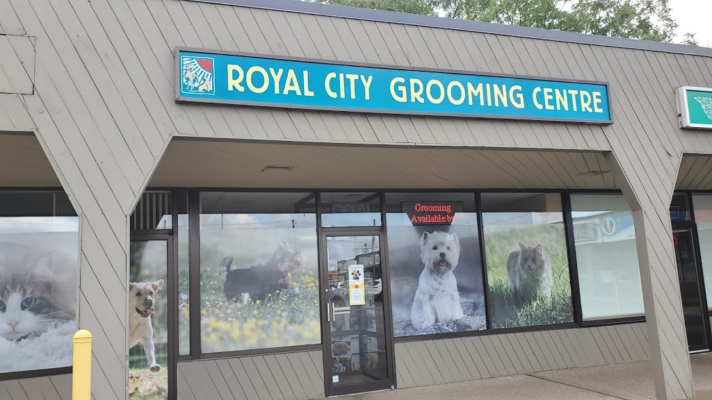 Royal City Grooming Centre | 245 Edinburgh Rd S, Guelph, ON N1G 2J6, Canada | Phone: (519) 763-5788