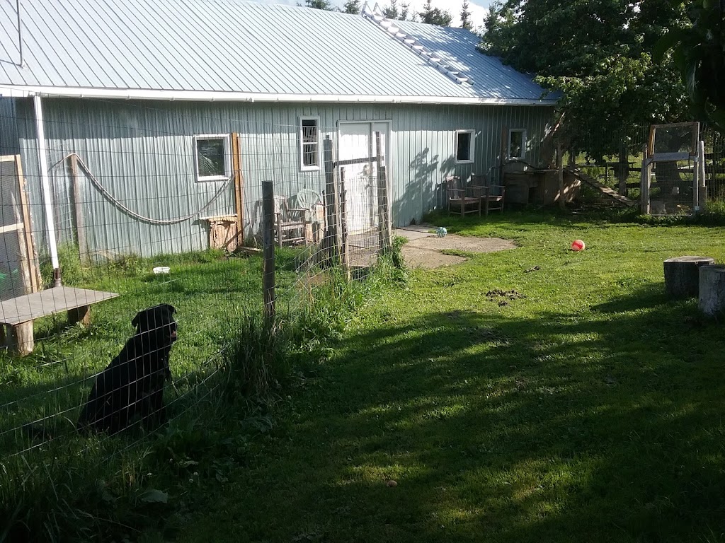 Une Belle Vie De Chien | 9500 Rang Sainte-Marguerite, Saint-Philibert, QC G0M 1X0, Canada | Phone: (418) 222-5551