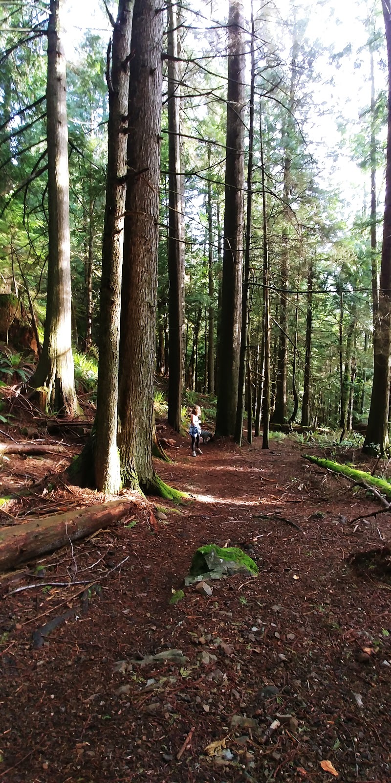 Mount Gardner Trail Head | 1301 Mt Gardner Rd, Bowen Island, BC V0N 1G2, Canada