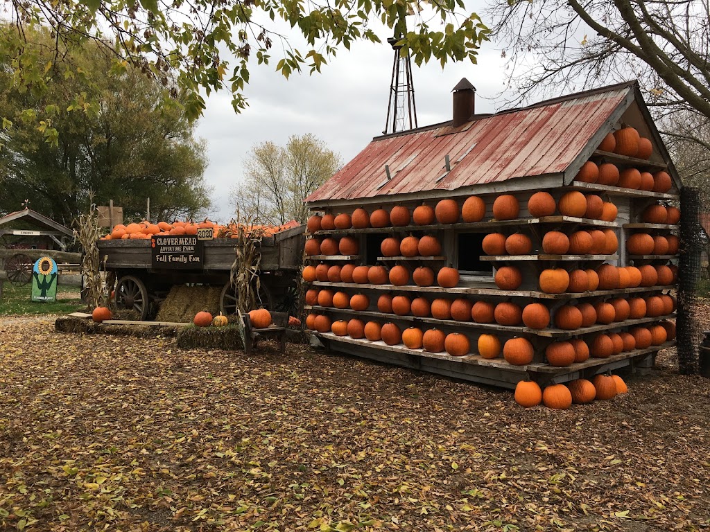 Clovermead Adventure Farm | 11302 Imperial Rd, Aylmer, ON N5H 2R3, Canada | Phone: (519) 773-5503