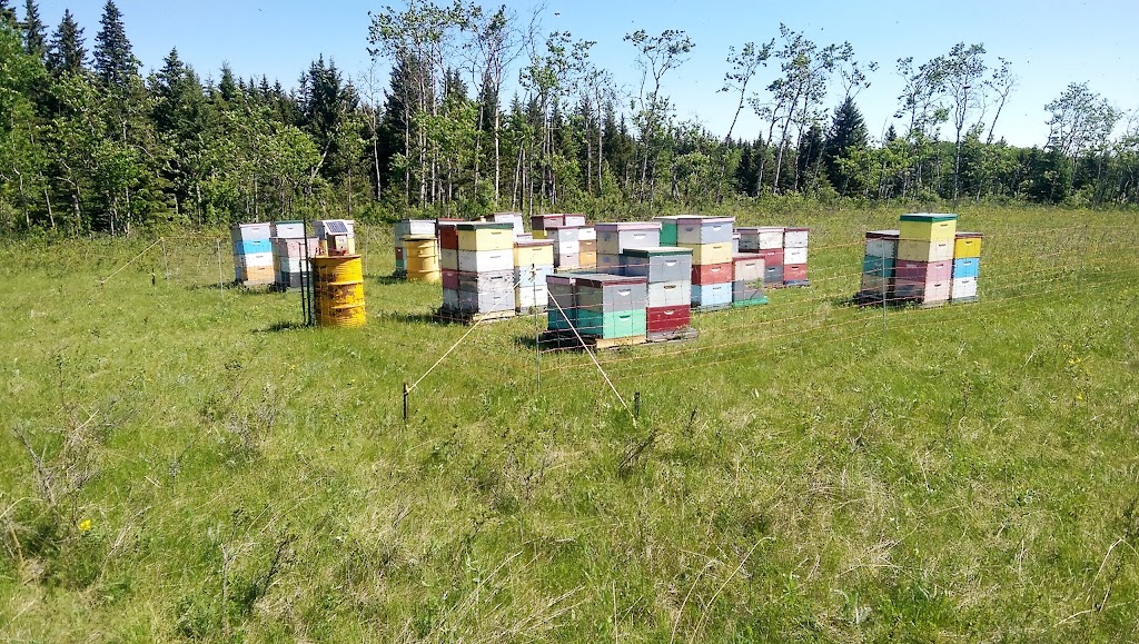 Mountainview Honey | 642017 104 St E, Cayley, AB T0L 0P0, Canada | Phone: (403) 395-2100