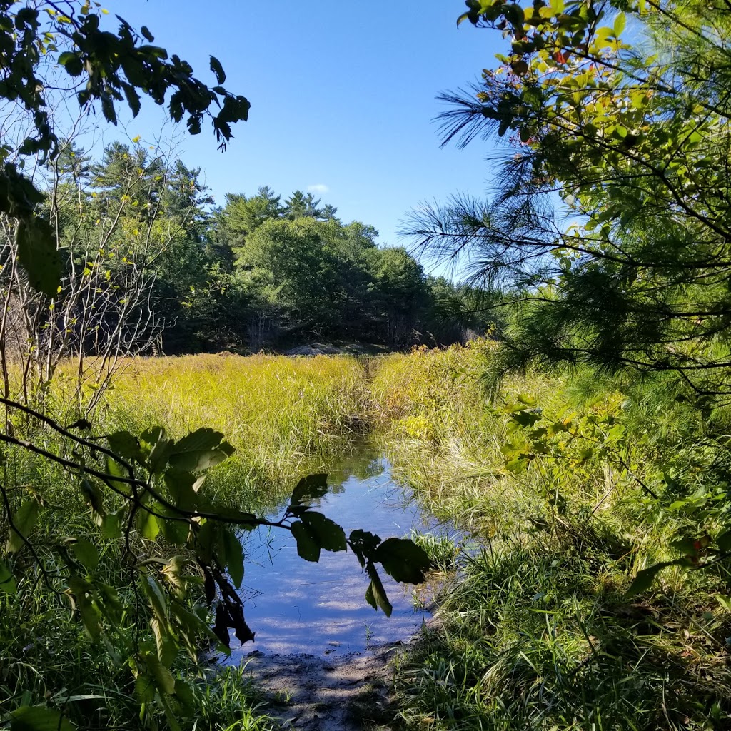 The Massasauga Backcountry Access Point | 1-21 Summerland Beach Rd, Parry Sound, ON P2A 2W8, Canada | Phone: (705) 378-2401