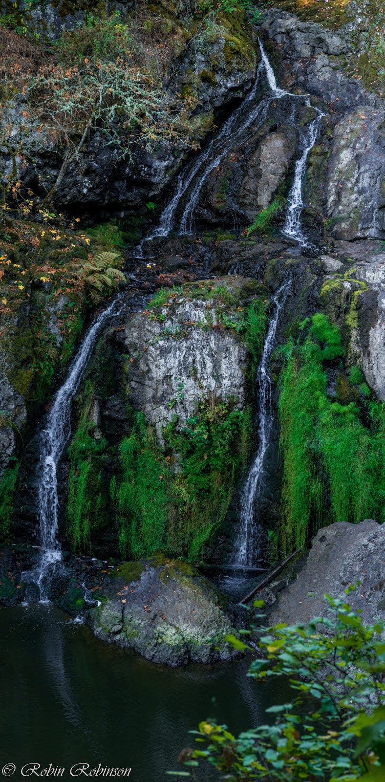 Wittys Lagoon Regional Park Nature House | 4115 Metchosin Rd, Victoria, BC V9C 3Z6, Canada | Phone: (250) 474-2454