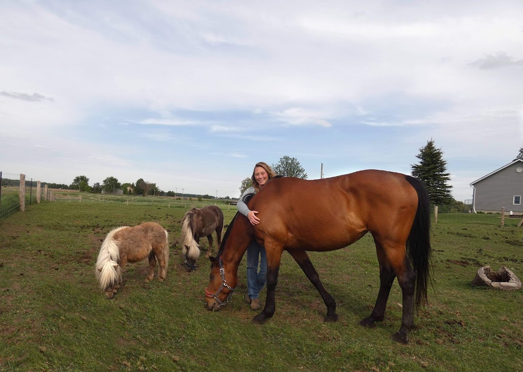 Transitions Equine Assisted Learning | 675671 16 Line, Innerkip, ON N0J 1M0, Canada | Phone: (226) 232-5410