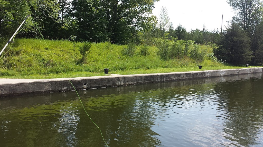 Trent-Severn Waterway, Lock 15 - Healey Falls | 11th Line W, Trent Hills, ON K0L 1L0, Canada | Phone: (705) 653-2560