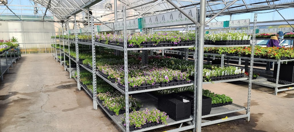 Peace Arch Nurseries | 4233 King George Blvd, Surrey, BC V3S 0L2, Canada | Phone: (604) 319-2684