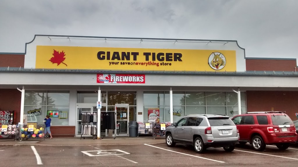 Giant Tiger | 32 Ridge Rd, Deep River, ON K0J 1P0, Canada | Phone: (613) 584-3048