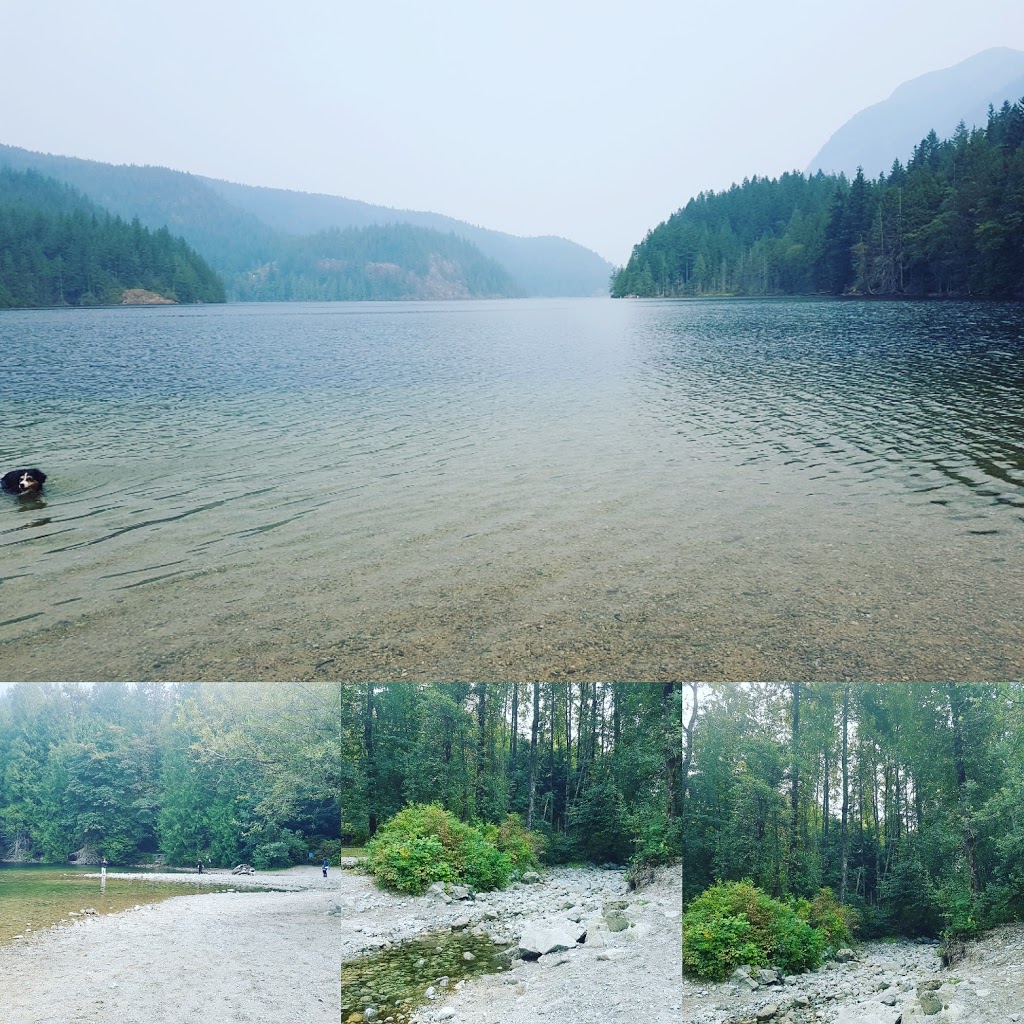 Buntzen Lake Dog Park | Anmore, BC V3H, Canada