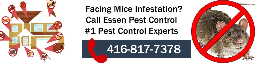 Essen Pest Control | Toronto | GTA | 33 Seachart Pl Unit no. 2, Brampton, ON L6P 3E1, Canada | Phone: (416) 817-7378