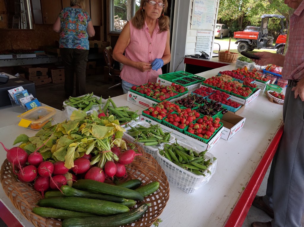 Millar Berry Farms | 7375 Longwoods Rd, London, ON N6P 1L2, Canada | Phone: (519) 652-2065