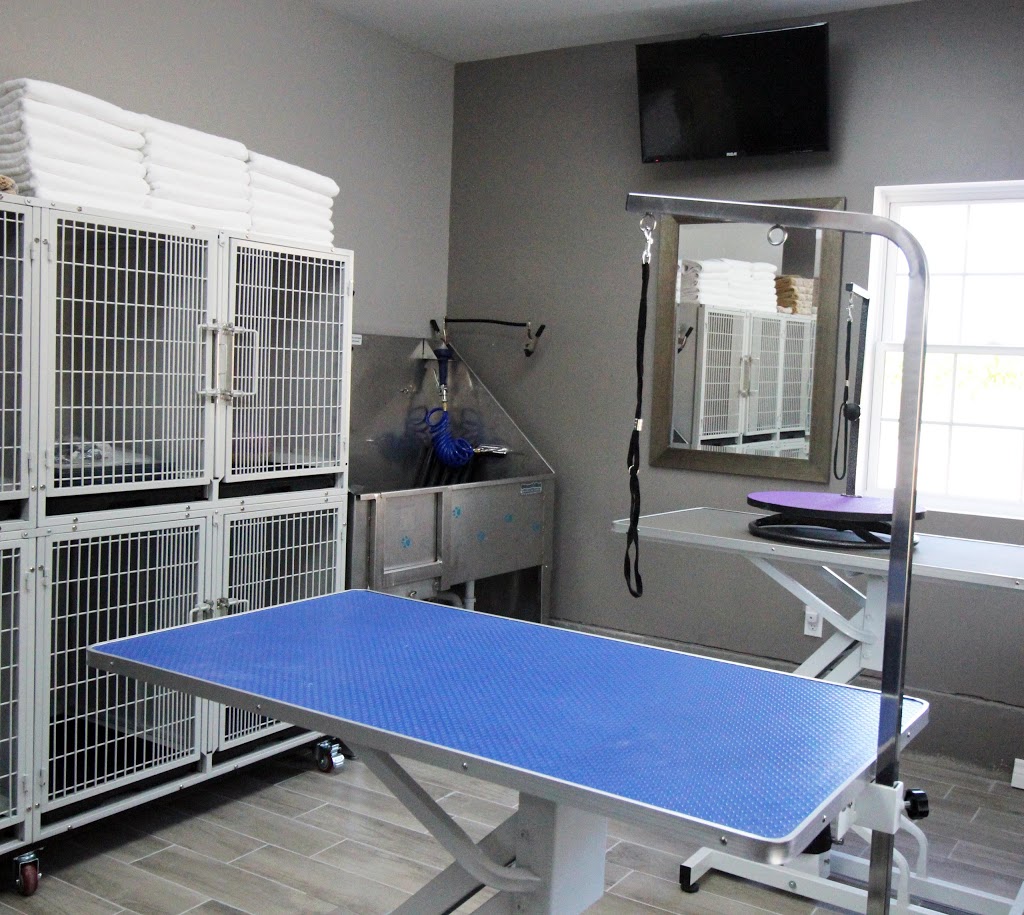 Lonsdale Grove, Boutique Style Pet Boarding, Grooming and Care | 1993 Lonsdale Rd, Breslau, ON N0B 1M0, Canada | Phone: (519) 648-3311