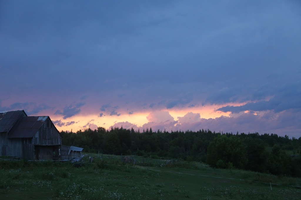 Painted Hilltop Farm | 130 Chemin du Rang A, Otter Lake, QC J0X 2P0, Canada | Phone: (819) 647-8945