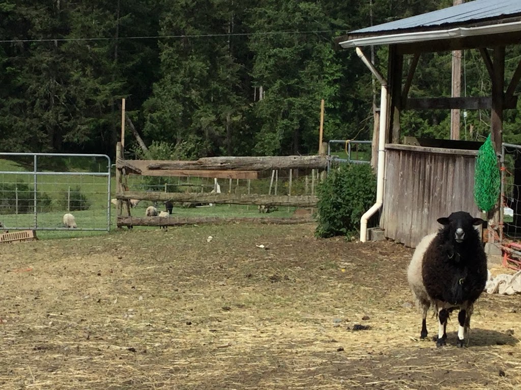 North End Farm | 2521 N End Rd, Salt Spring Island, BC V8K 1A5, Canada | Phone: (250) 537-4442