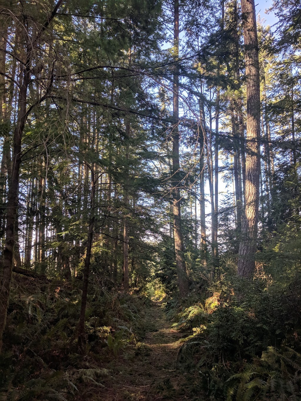 Priest Cabin Park | Juan De Fuca Dr, Shirley, BC V9Z 1G8, Canada