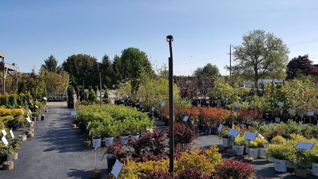 Peanut Centre Nursery | 702 Mersea Rd 6, Leamington, ON N8H 3V8, Canada | Phone: (519) 326-7450