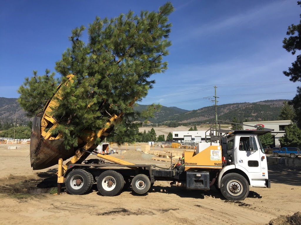 Maple Leaf Tree Movers Ltd | 14571 Westminster Hwy, Richmond, BC V6V 1A4, Canada | Phone: (604) 880-2555