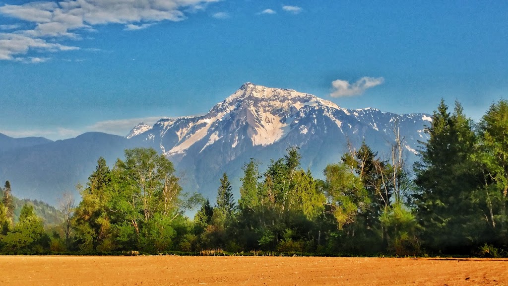 Nankai Sprouts | 6340 McCallum Rd, Agassiz, BC V0M 1A3, Canada | Phone: (604) 796-3458