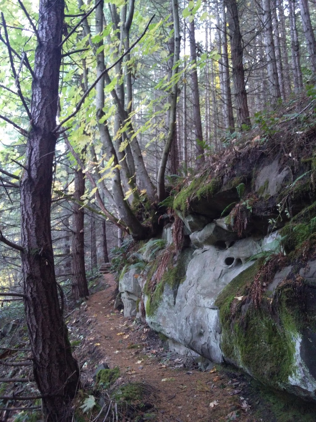 Tapovan Sri Chinmoy Peace Park | Porlier Pass Rd, Galiano Island, BC V0N 1P0, Canada