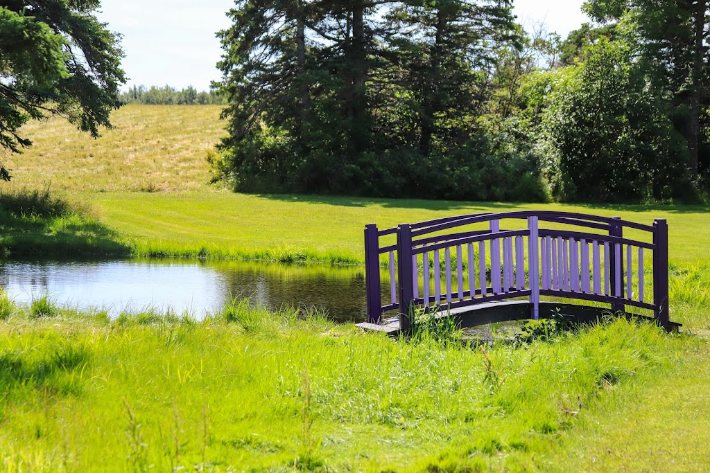 Seafoam Lavender Company & Gardens | 3768 Highway 6 (Seafoam), River John, NS B0K 1N0, Canada | Phone: (902) 536-3366