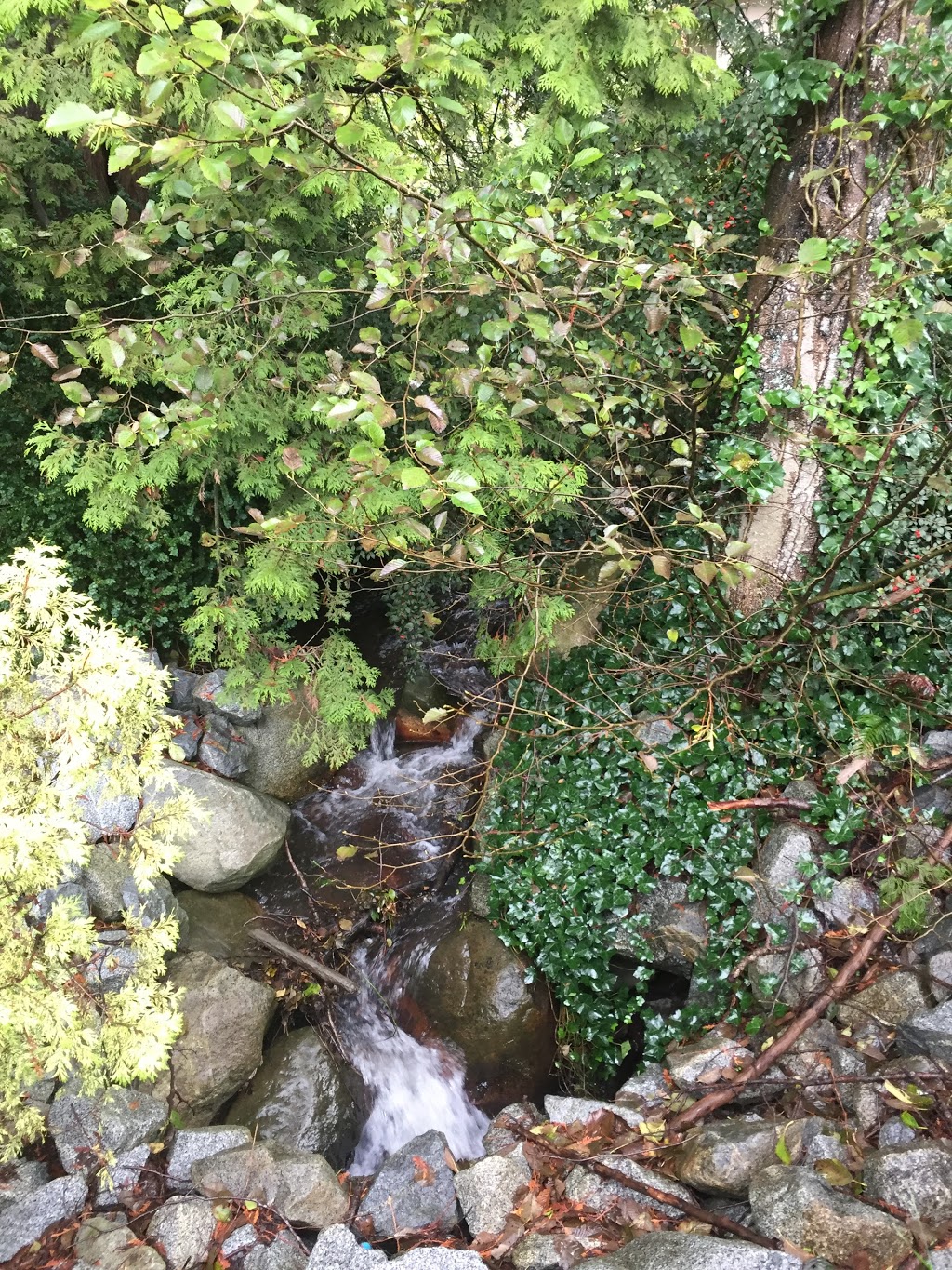 Cross Creek Park | West Vancouver, BC V7S, Canada