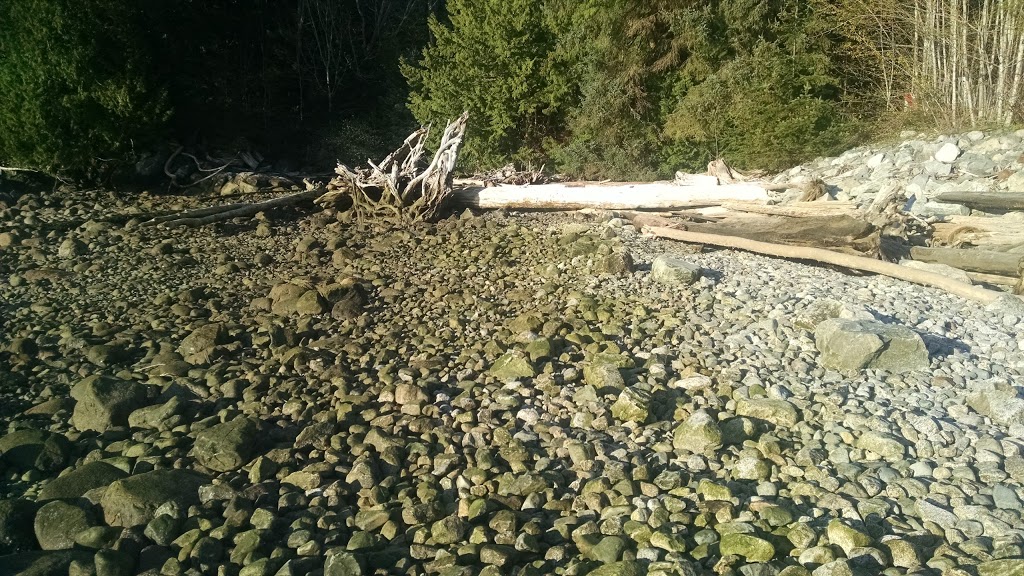 Furry Creek Dive Site | Beach Dr, Squamish-Lillooet D, BC, Canada