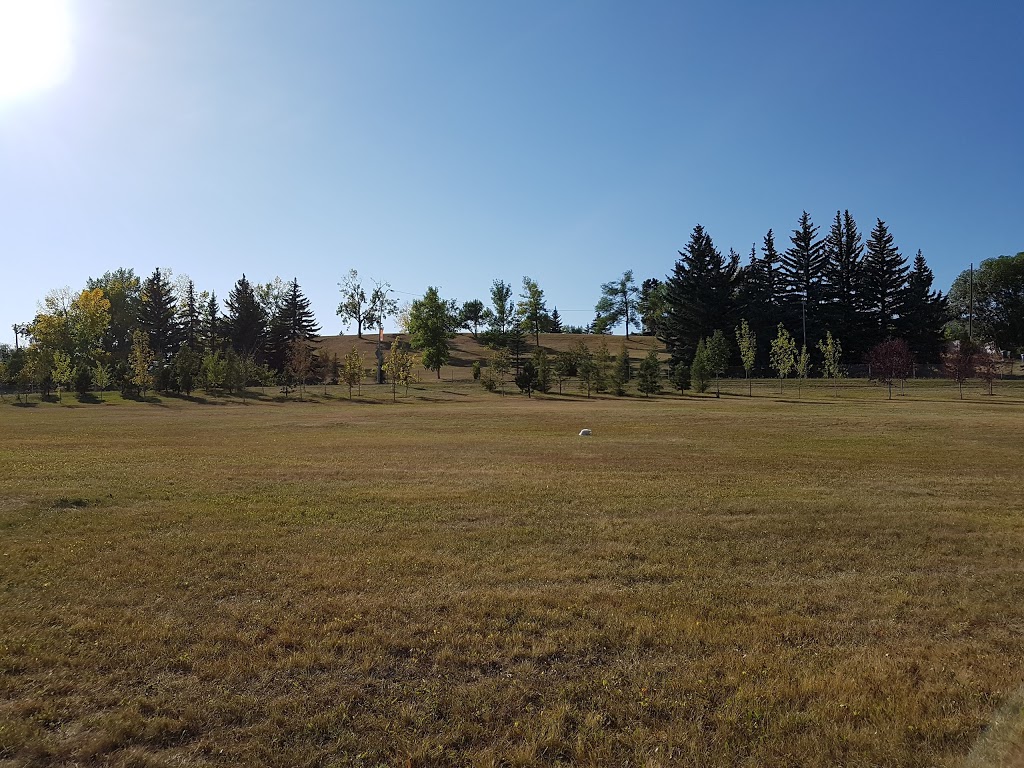 Queens Park Villiage off-leash area QPK-001 | 3425 10 St NW, Calgary, AB T2K, Canada