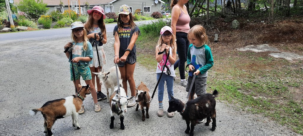 Muskoka Goat Away | Morgans Rd, Huntsville, ON P1H 1A2, Canada | Phone: (705) 380-1066