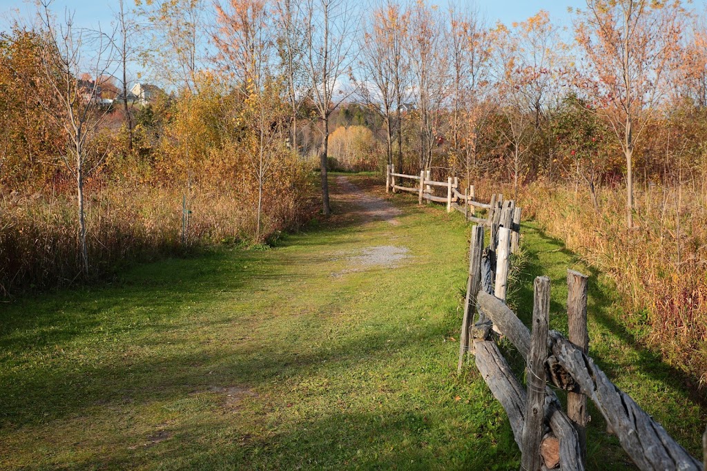 Réserve naturelle du Marais-Léon-Provancher | 151 Rue des Îlets, Neuville, QC G0A 2R0, Canada | Phone: (418) 554-8636