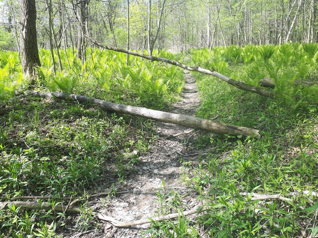 Rouge River Park | Unnamed Road, Scarborough, ON M1B, Canada, Canada