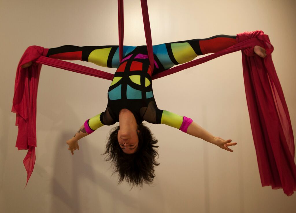 Cherry Blossom Aerial Dance Studio | 427 St Laurent Blvd, Ottawa, ON K1K 2Z9, Canada | Phone: (613) 741-4200