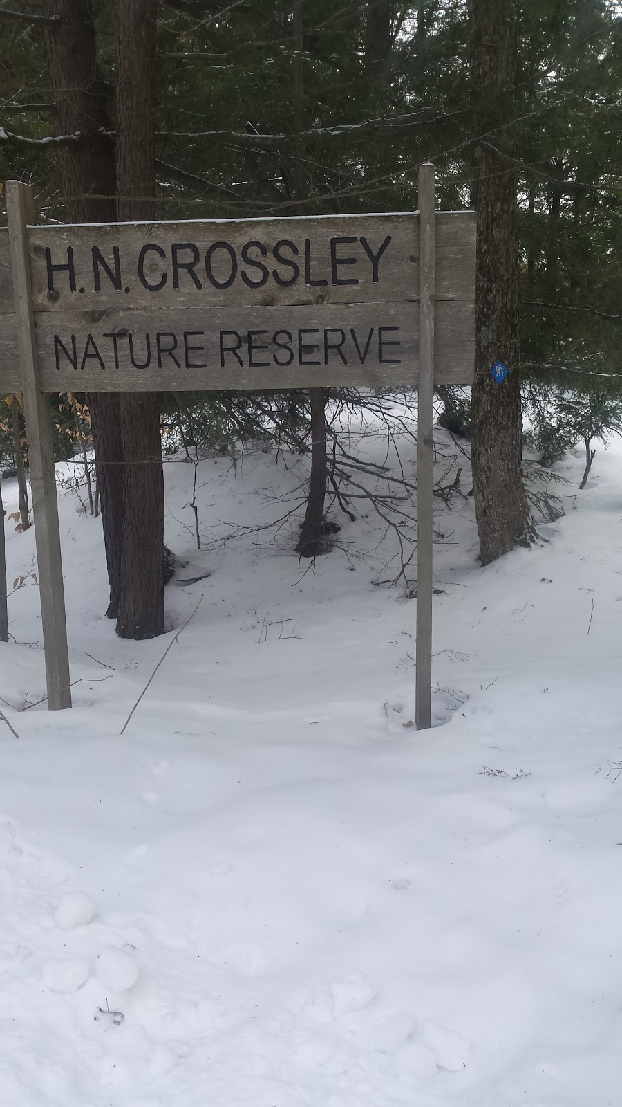 H.N. Crossley Nature Reserve | Miko Ln, Rosseau, ON P0C 1J0, Canada | Phone: (800) 440-2366