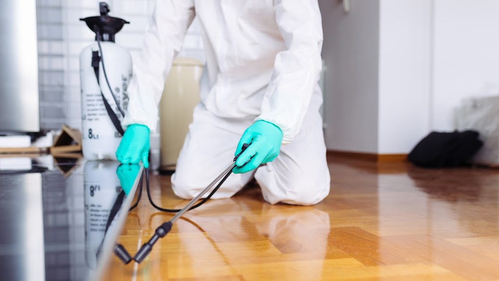 Acme Pest Solutions- Pest control Oakville, Bed bug, Ant,Cockroach removal Oakville | 2870 Portland Dr, Oakville, ON L6H 5W8, Canada | Phone: (416) 453-2444