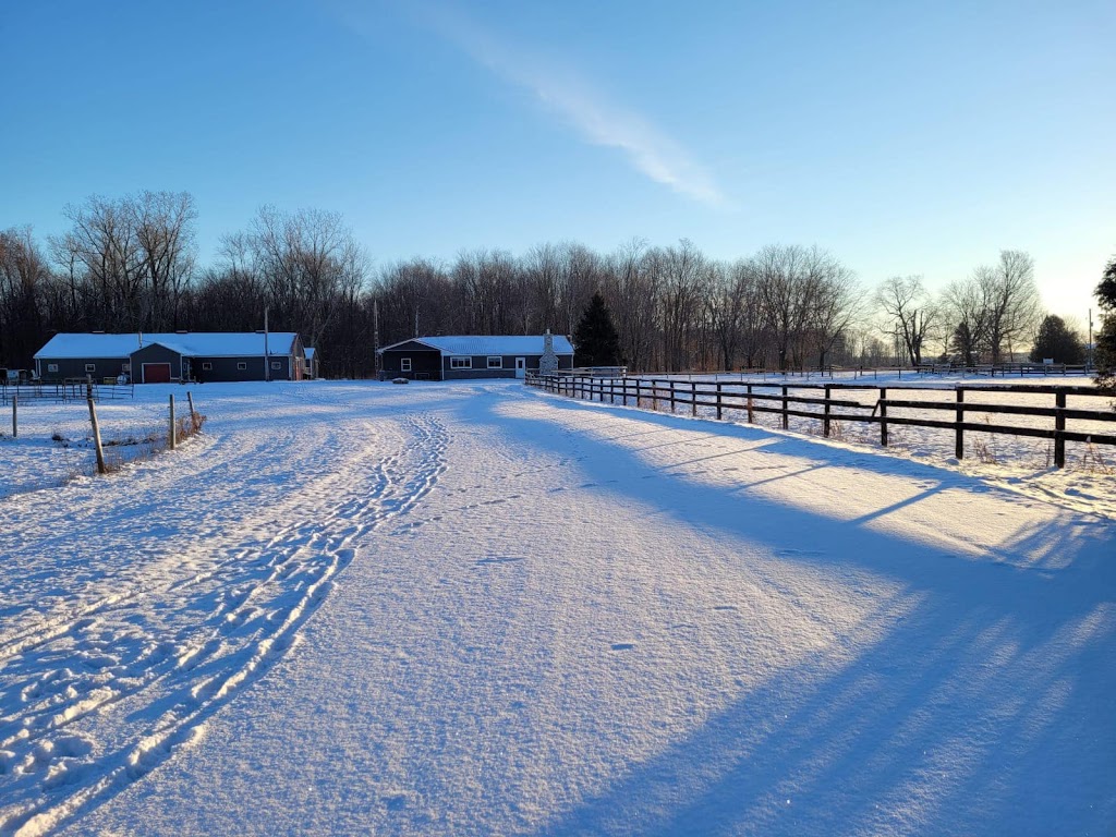 Hayes Equestrian Ltd. | 218 Fairfield Rd, Harley, ON N0E 1E0, Canada | Phone: (289) 208-6255