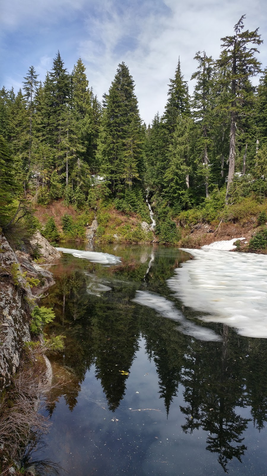 Dog Mountain Trail | 1700 Mt Seymour Rd, North Vancouver, BC V7G 1L3, Canada