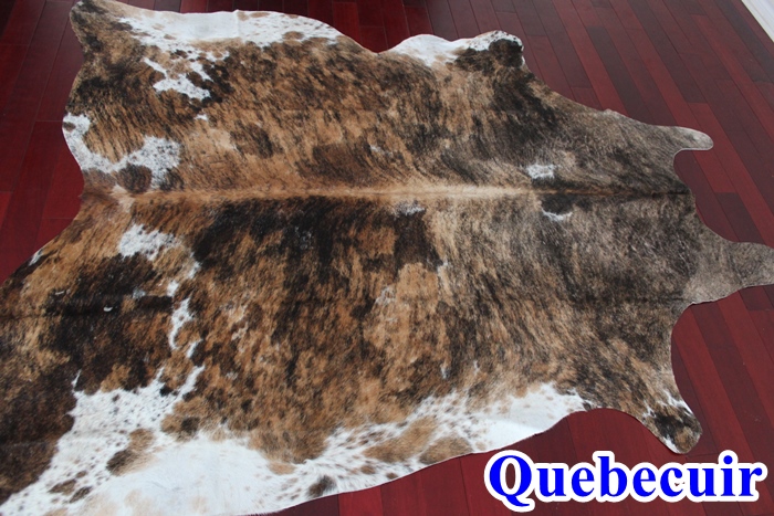 Quebecuir | 515 Rue Lavergne, Laval, QC H7X 3L7, Canada | Phone: (438) 878-9678