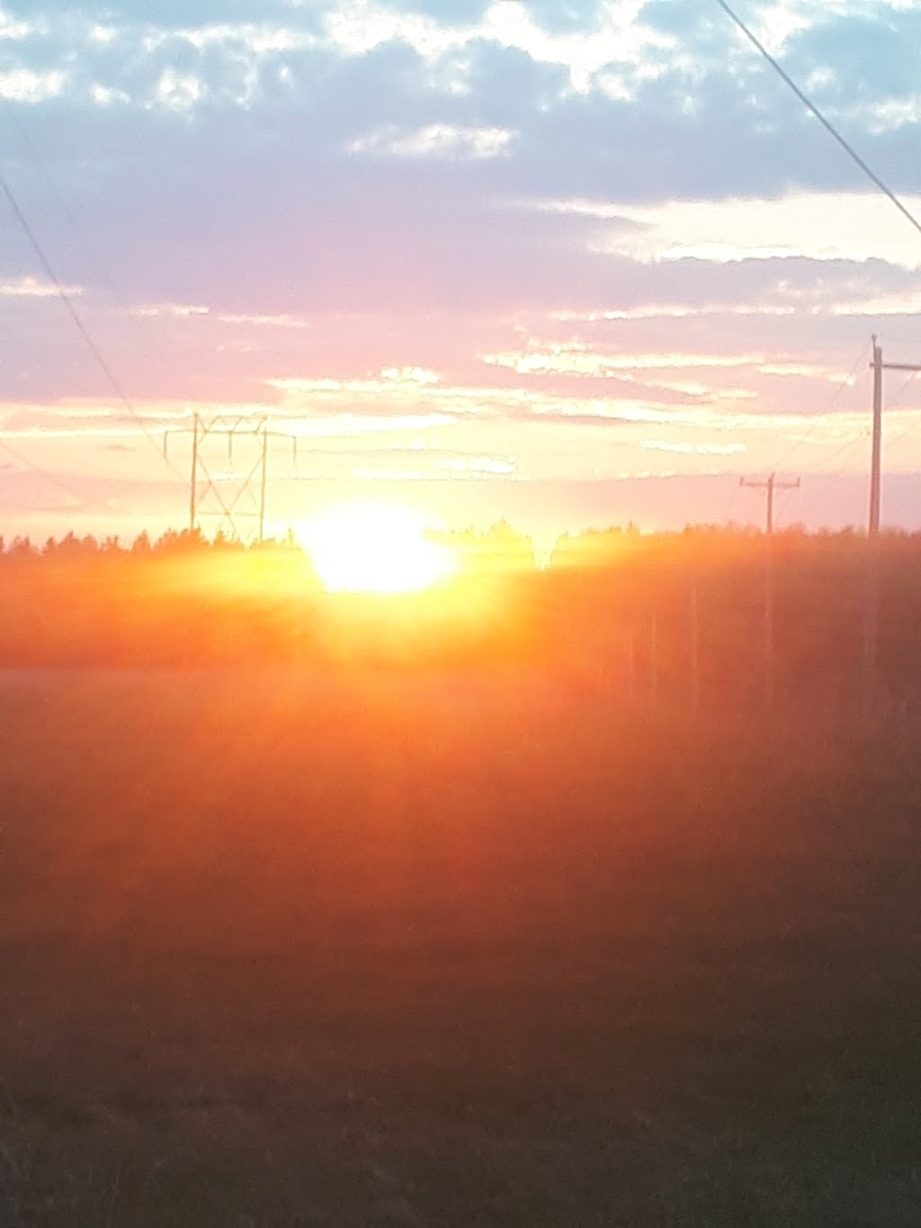 Ferme Pleine Lune | 24 Chem. 6 Line, Bristol, QC J0X 1G0, Canada | Phone: (819) 921-5534