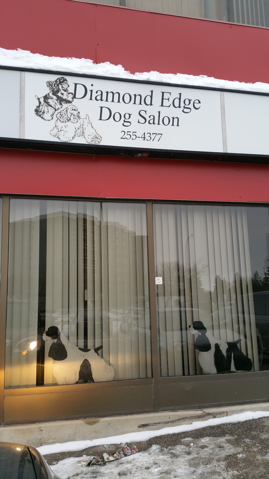 Diamond Edge Dog Salon | 2987 Pembina Hwy, Winnipeg, MB R3T 2H5, Canada | Phone: (204) 255-4377