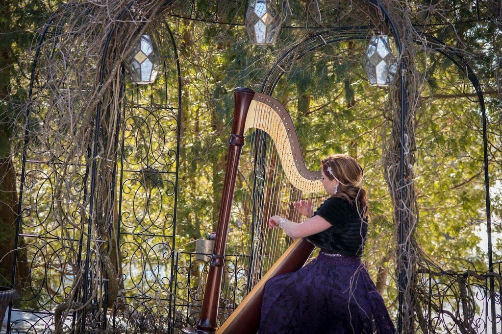 Chantal Dube the Harpist | 58 Somerville Rd, Acton, ON L7J 2Z7, Canada | Phone: (416) 909-9944