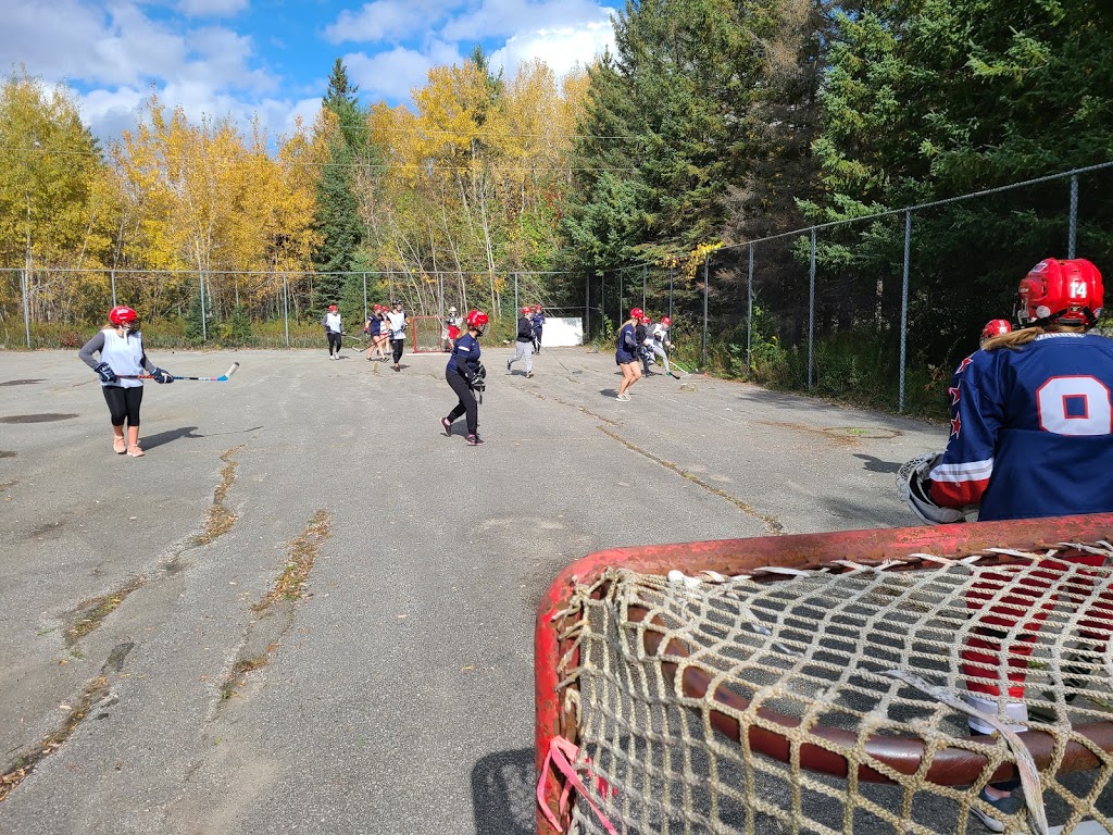 Hockey Training Institute | 8058 8th Line, Utopia, ON L0M 1T0, Canada | Phone: (705) 828-5385