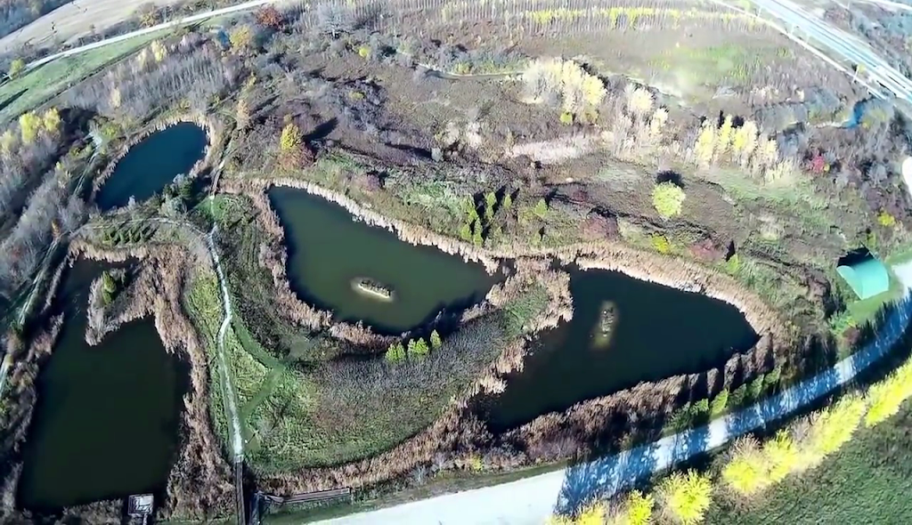 Dow Wetlands Nature Reserve | 715 Lasalle Line, Corunna, ON N0N 1G0, Canada