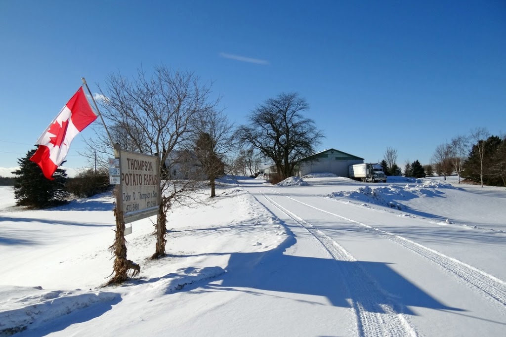 Thompson Potato Farm | 19228 McCowan Rd, Mount Albert, ON L0G 1M0, Canada | Phone: (905) 473-3460